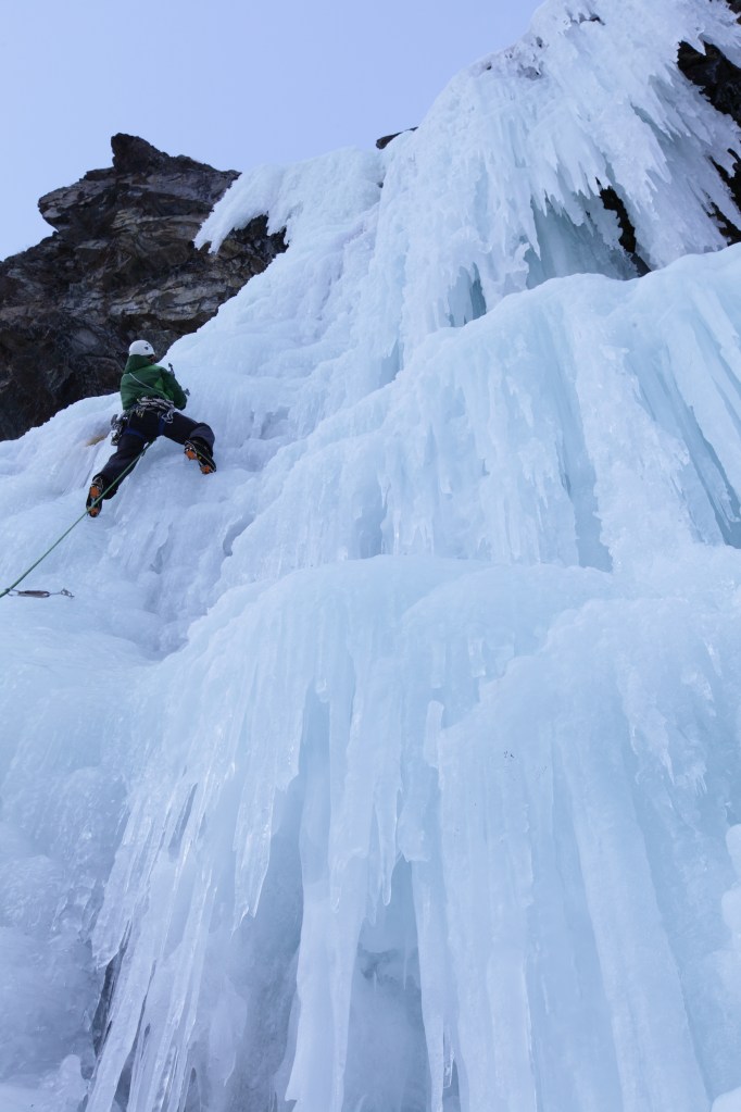 20120224_george_5790