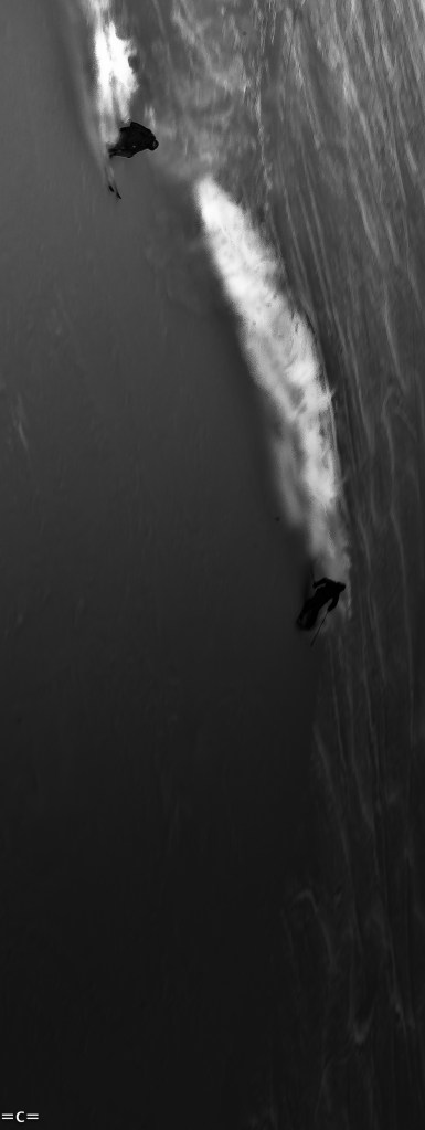 dave rosenbarger giulia monego