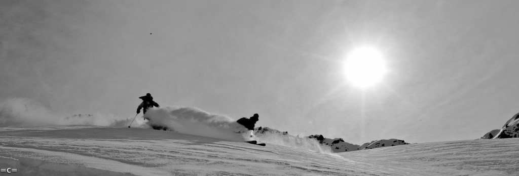 dave rosenbarger giulia monego