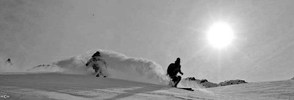 dave rosenbarger giulia monego