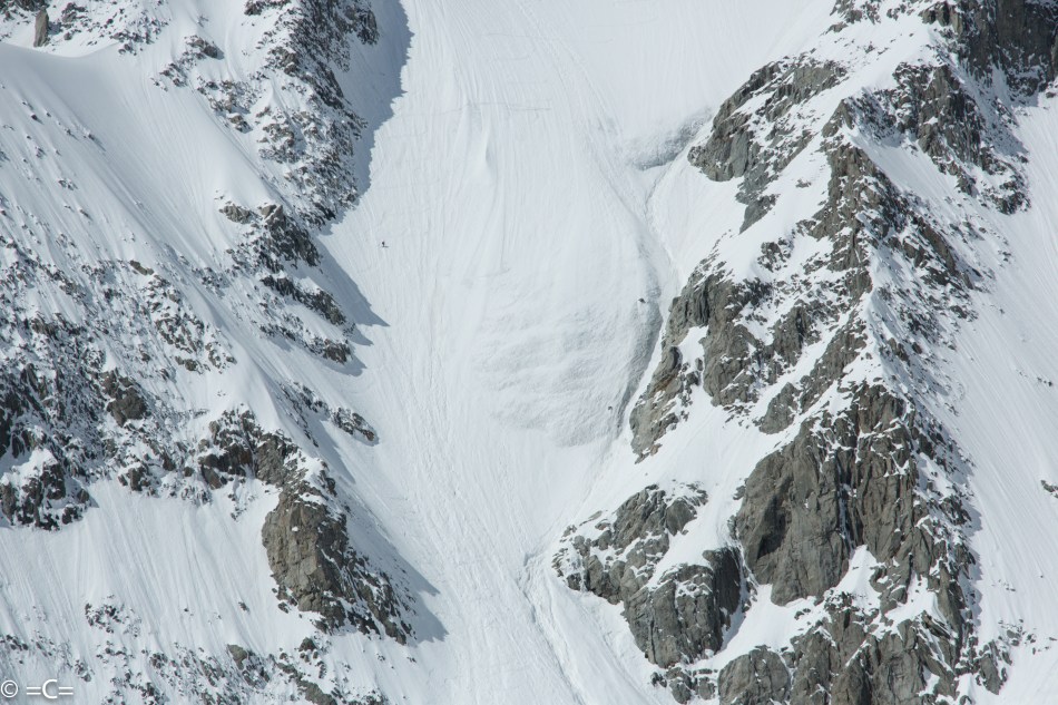 the bird stoked, full wing span