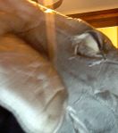 Photo on 7-5-14 at 8.20&nbsp;PM