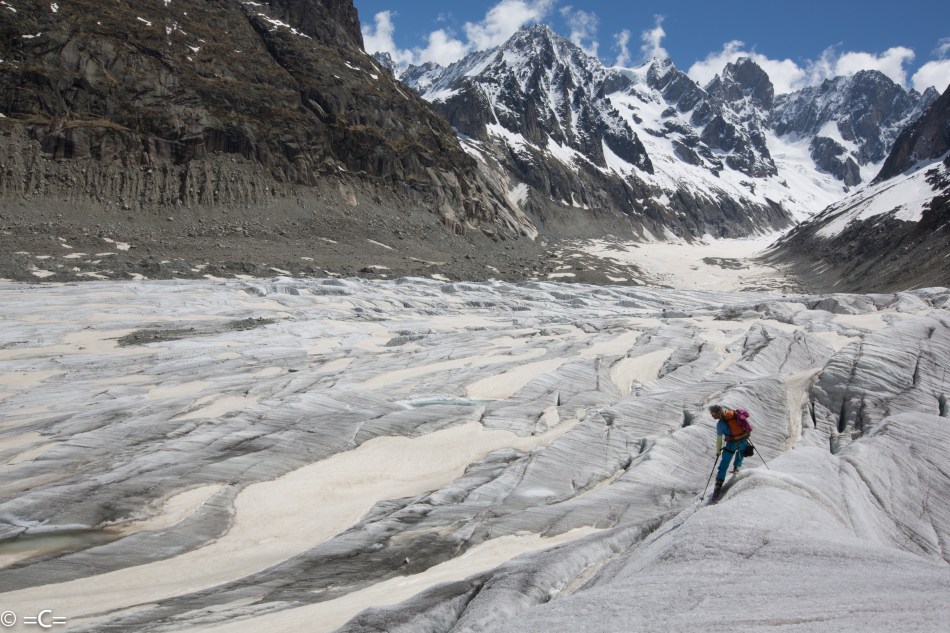 michael "bird" shaffer