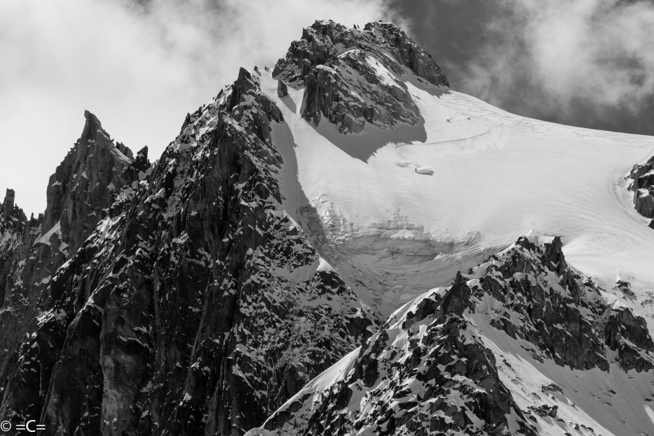 michael "bird" shaffer