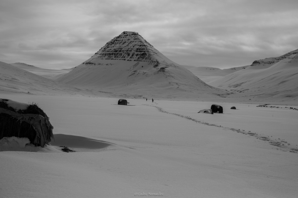on the way to some powder in iceland