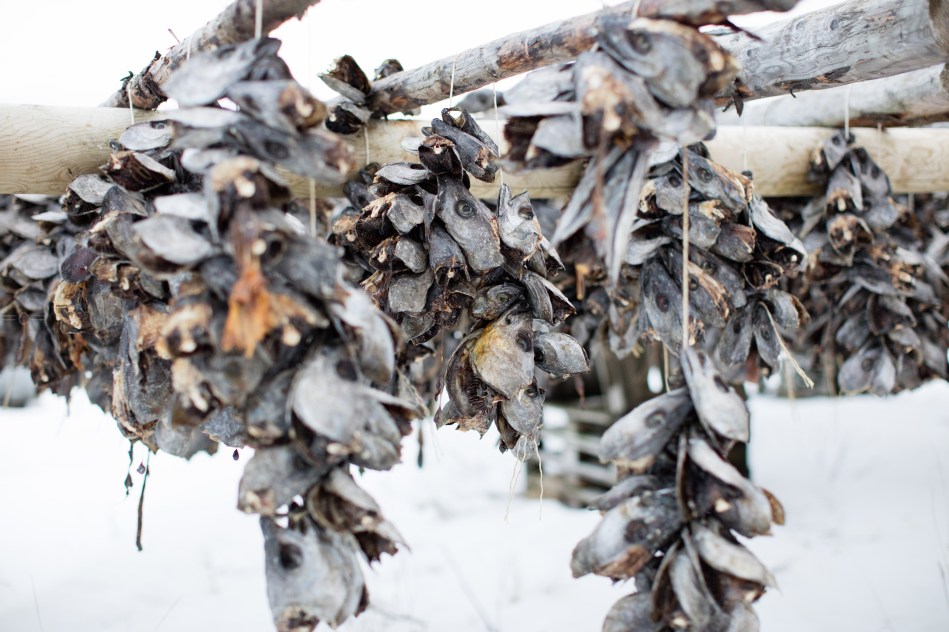 lofoten ski lodge, norway