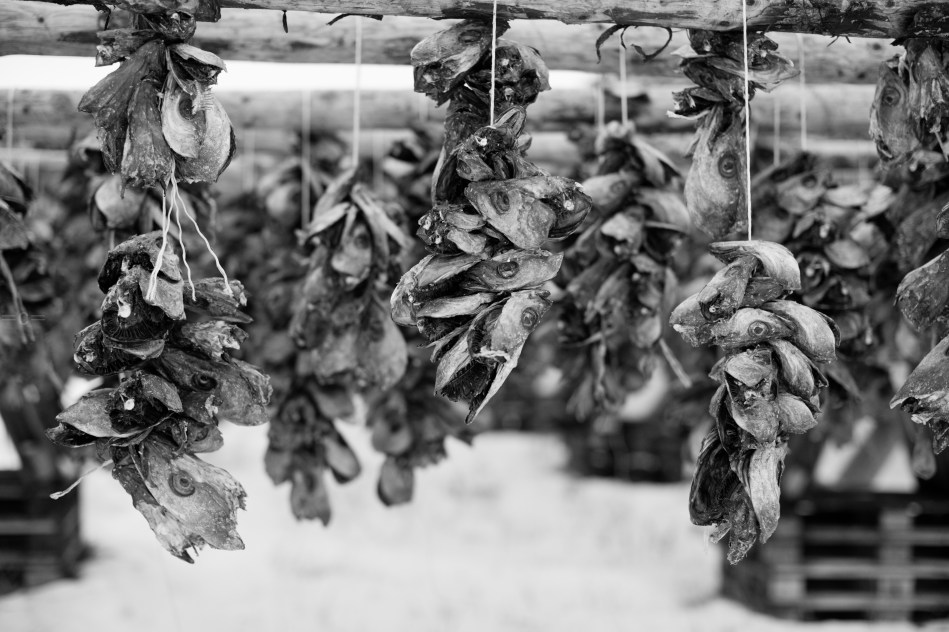 lofoten ski lodge, norway