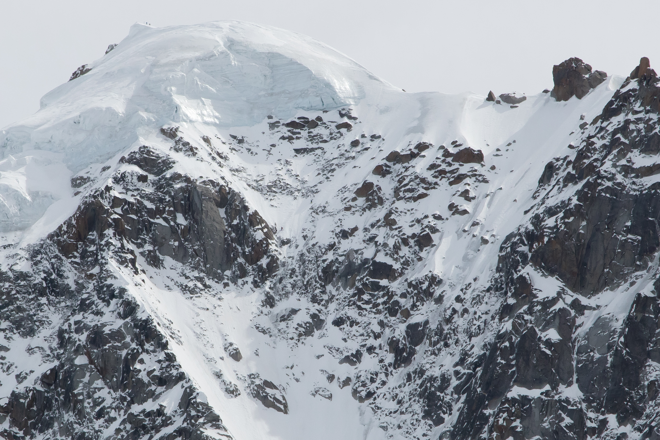 nan blanc, helias millerious,tony lamiche, alex pittin