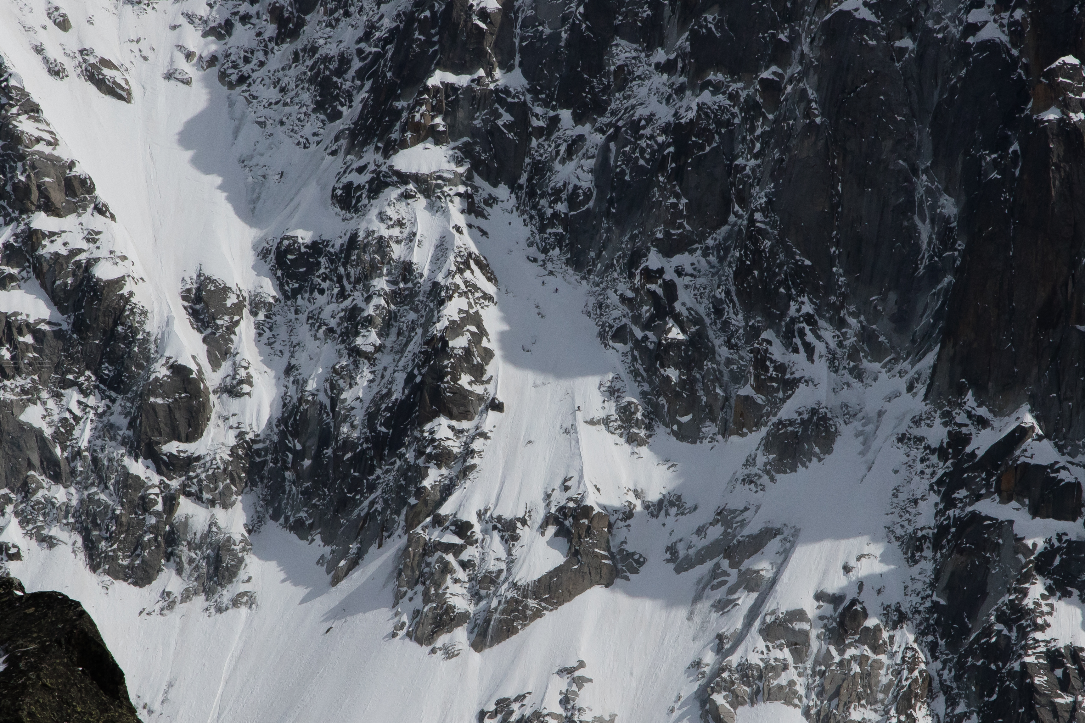 nan blanc, helias millerious,tony lamiche, alex pittin