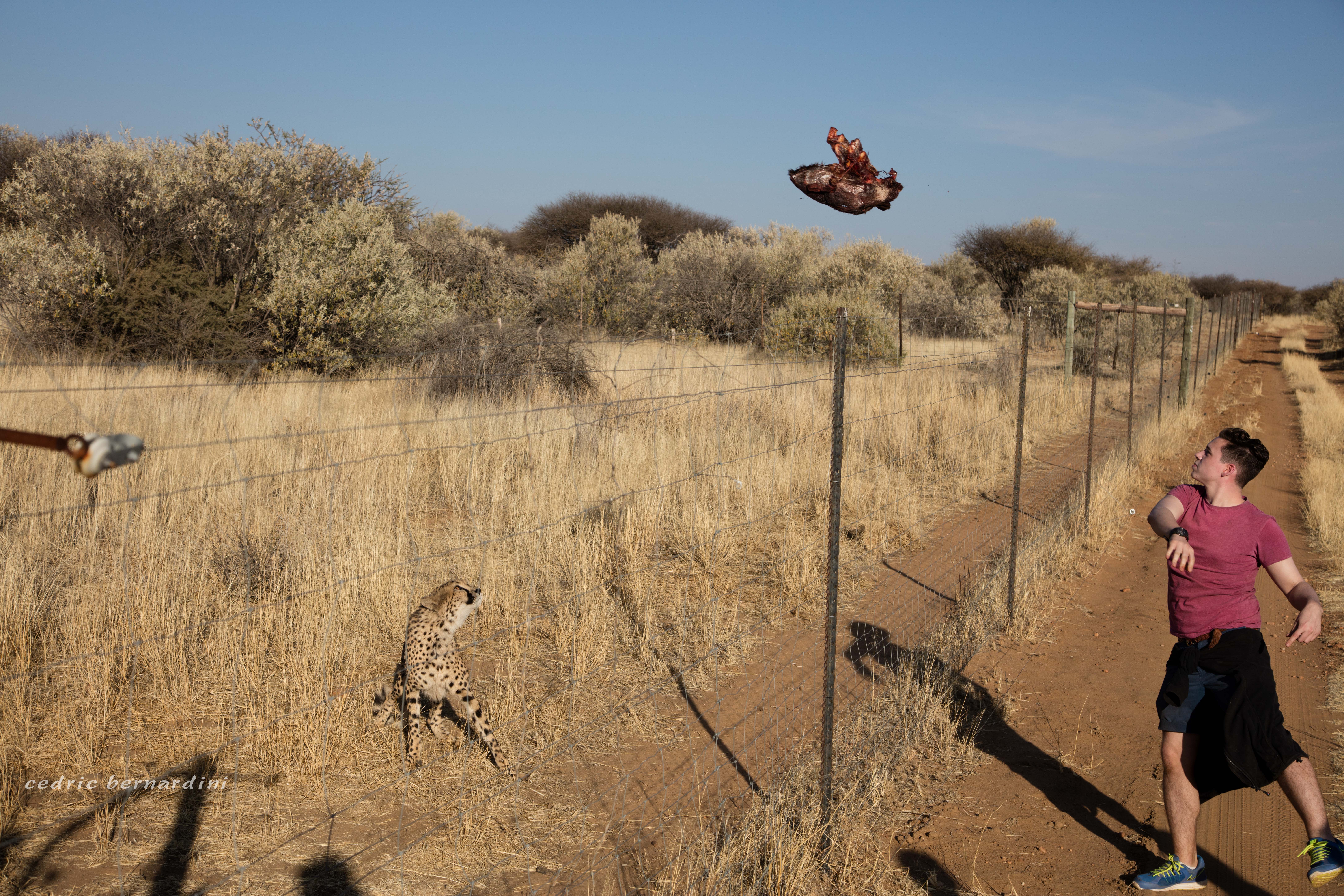 namibia, africa, naankuse, wild, cedric bernardini, kanaan