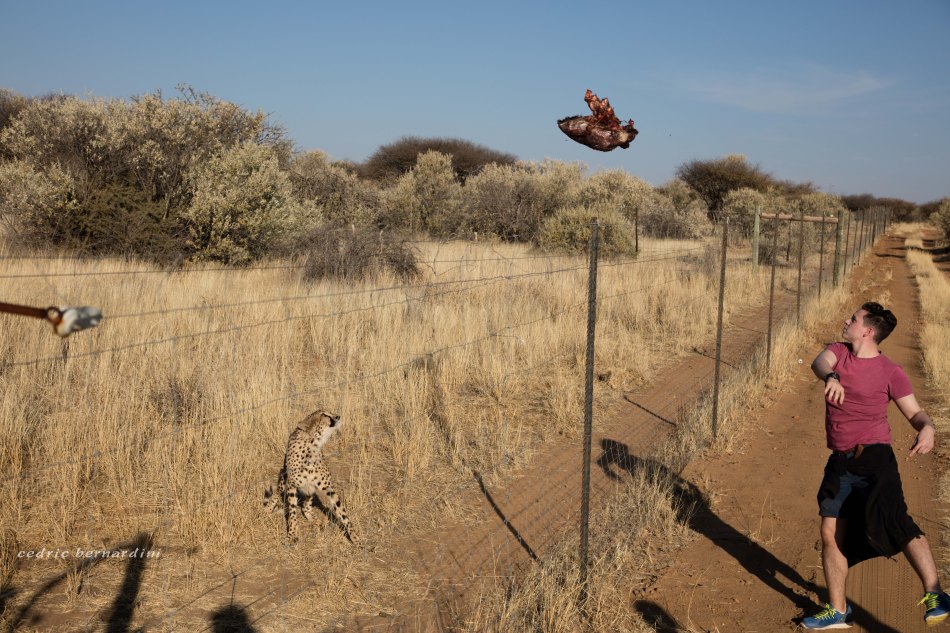 namibia, africa, naankuse, wild, cedric bernardini, kanaan