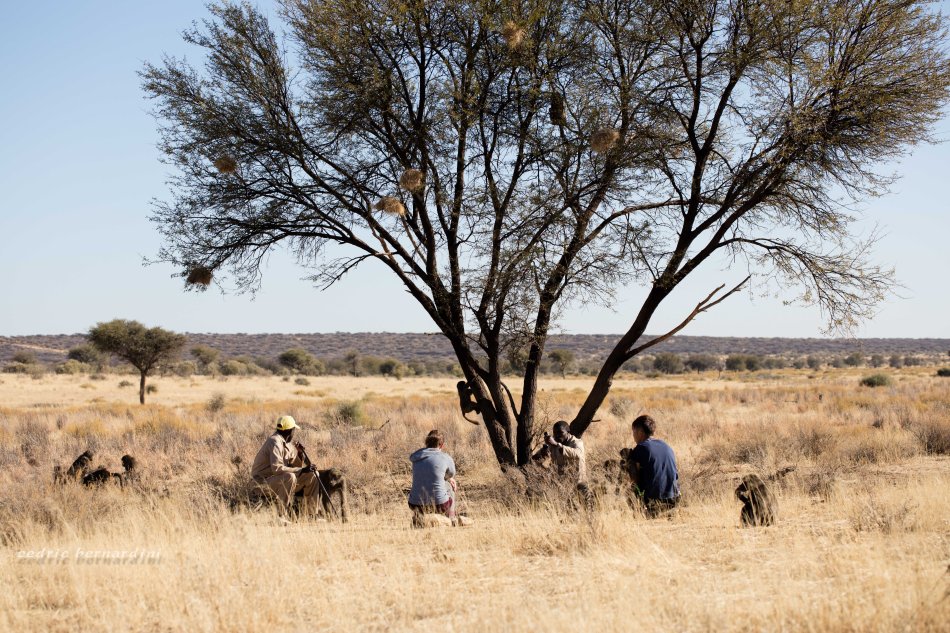 namibia, africa, naankuse, wild, cedric bernardini, kanaan
