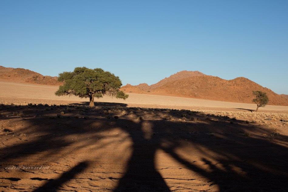 namibia, africa, naankuse, wild, cedric bernardini, kanaan
