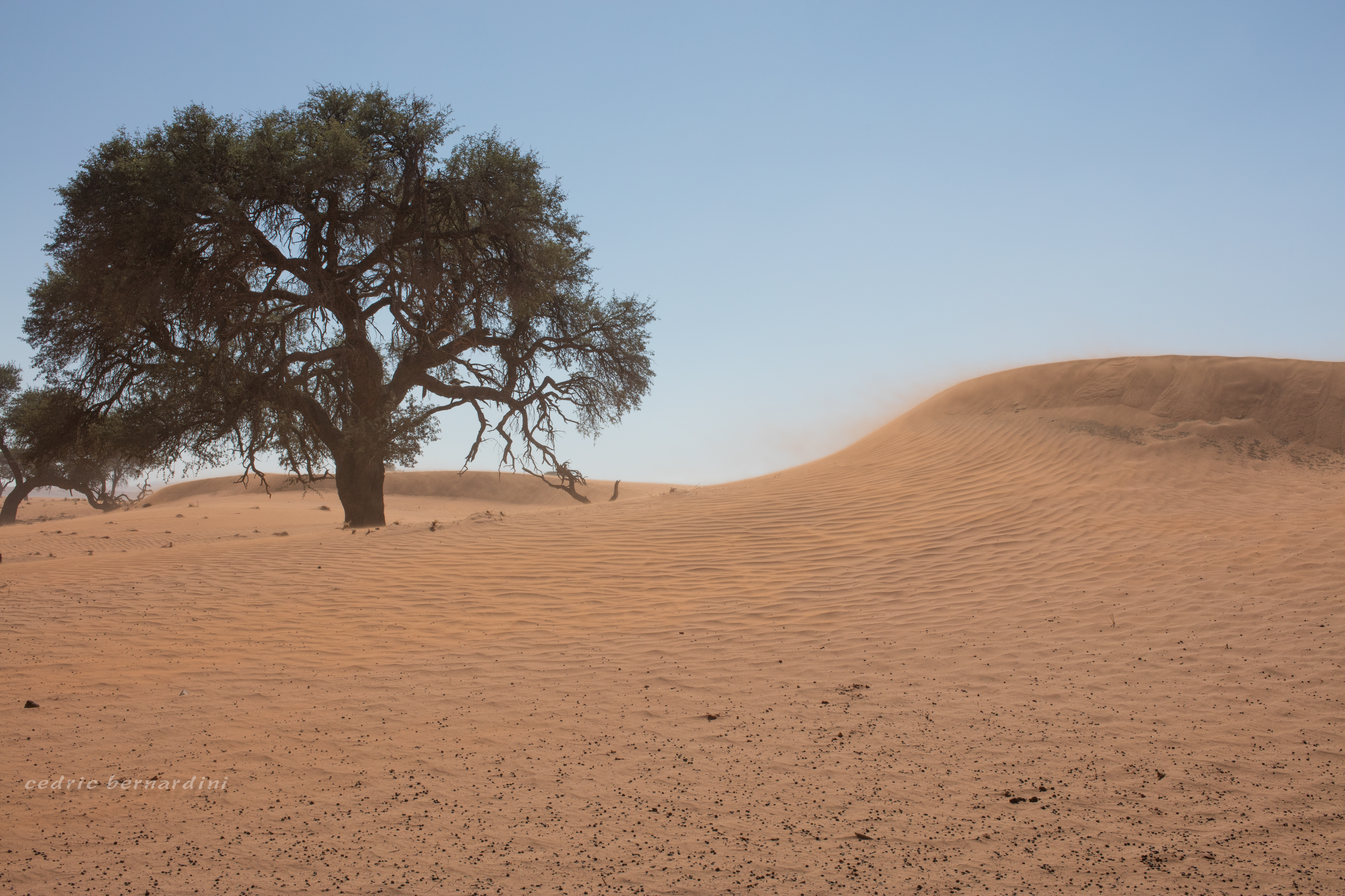 namibia, africa, naankuse, wild, cedric bernardini, kanaan