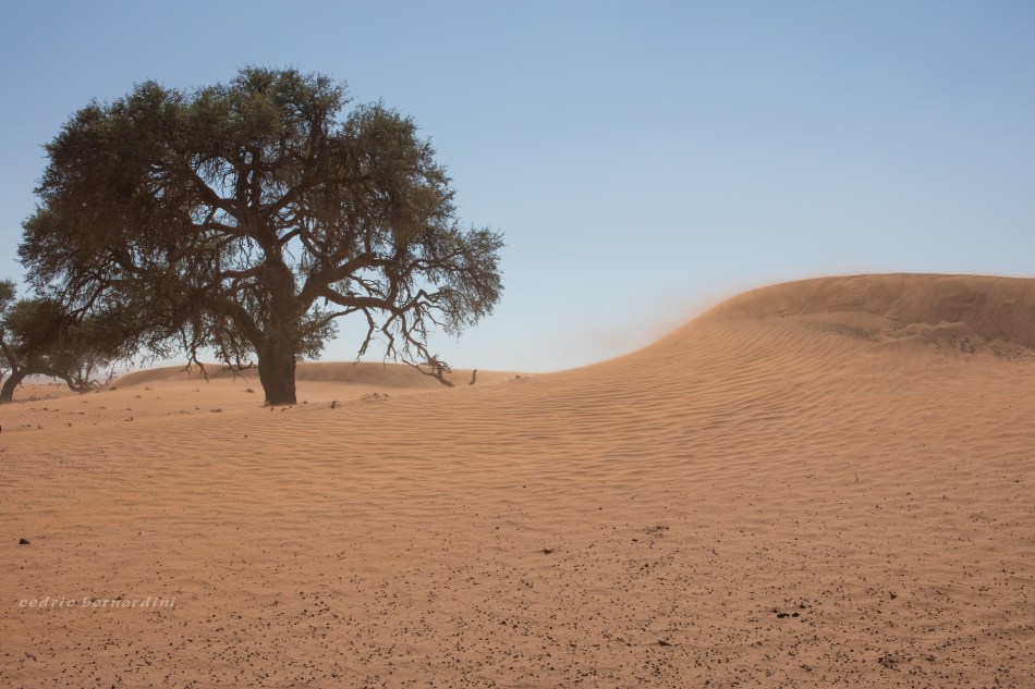 namibia, africa, naankuse, wild, cedric bernardini, kanaan