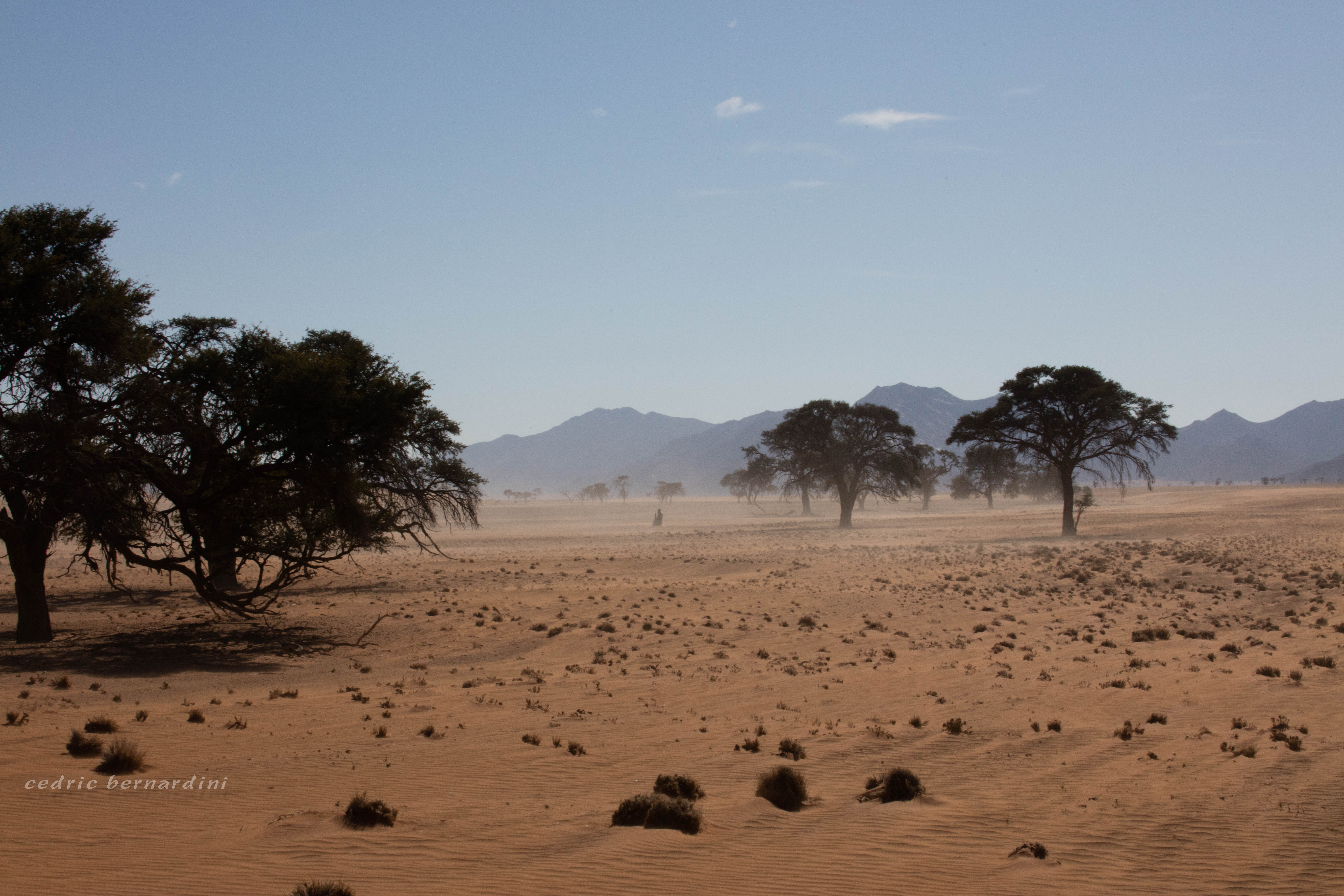namibia, africa, naankuse, wild, cedric bernardini, kanaan