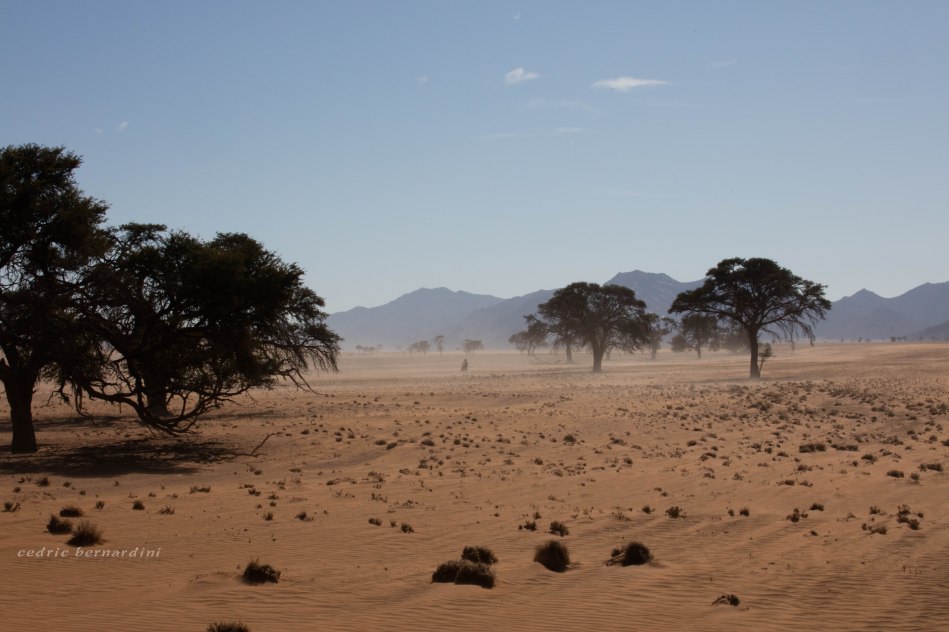 namibia, africa, naankuse, wild, cedric bernardini, kanaan