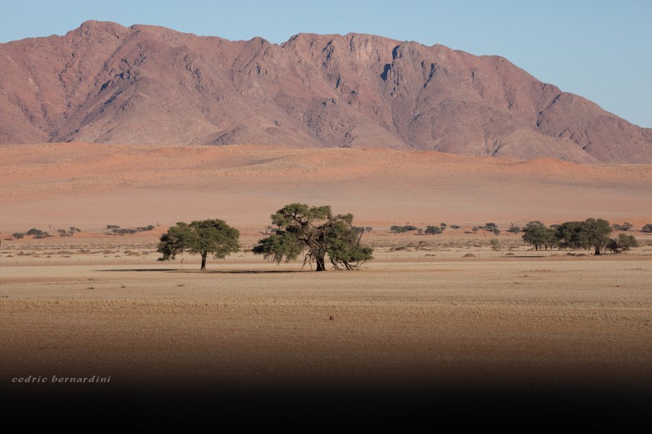 namibia, africa, naankuse, wild, cedric bernardini, kanaan
