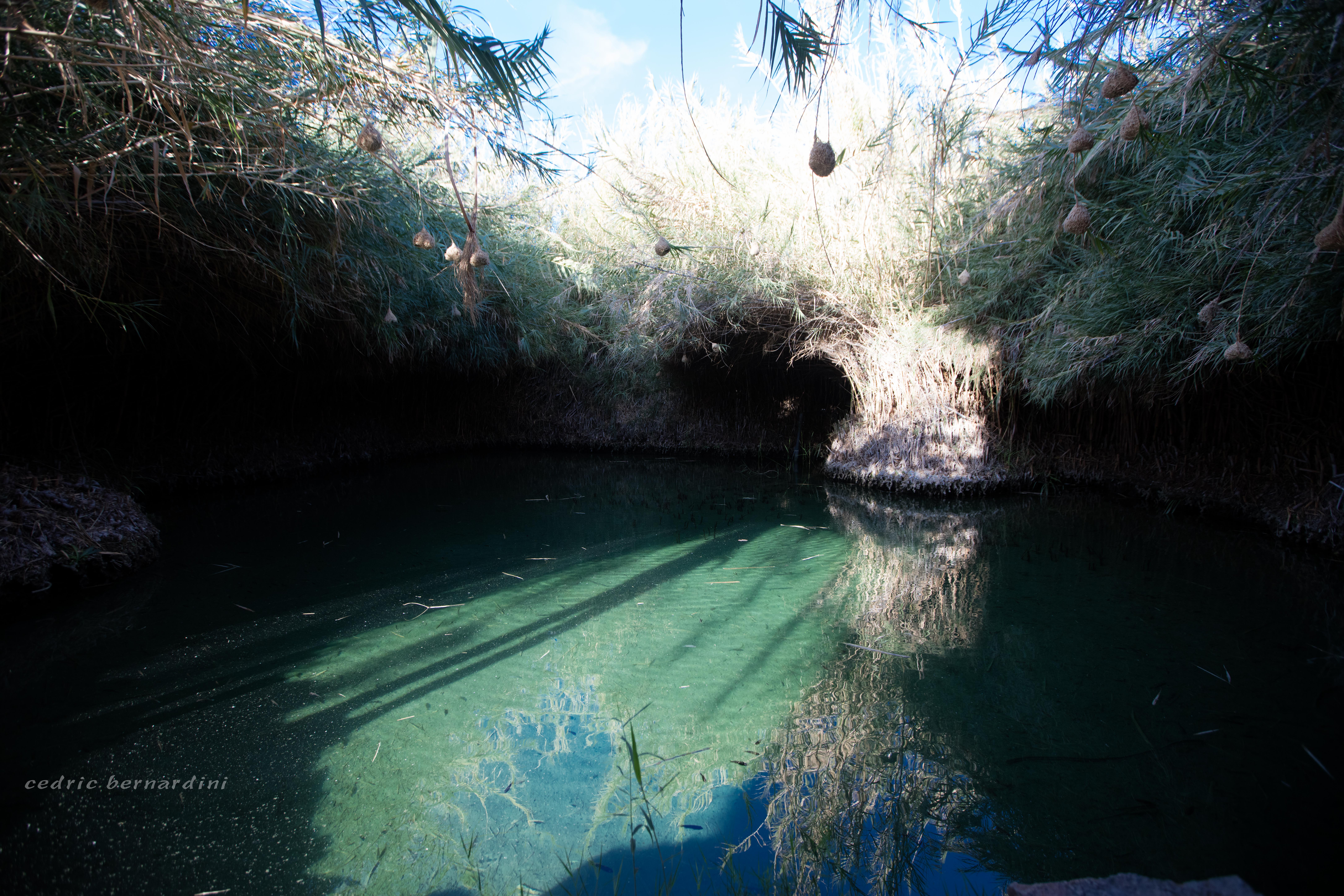 namibia, africa, naankuse, wild, cedric bernardini