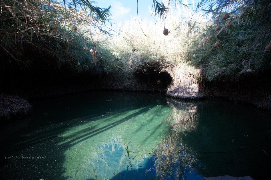 namibia, africa, naankuse, wild, cedric bernardini