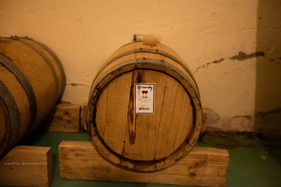 namibia, africa, naankuse, wild, cedric bernardini