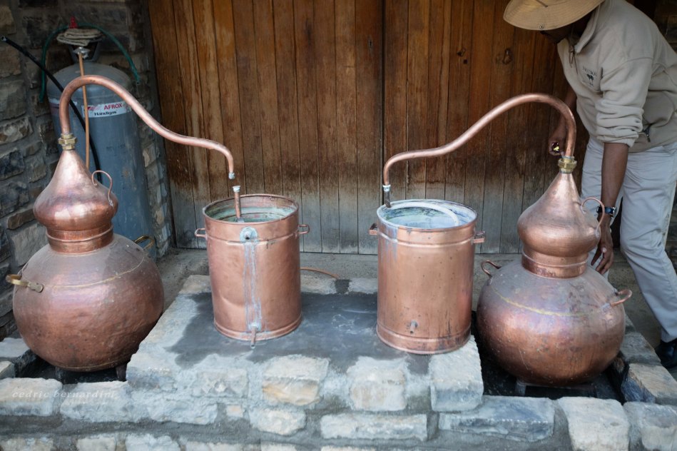 namibia, africa, naankuse, wild, cedric bernardini