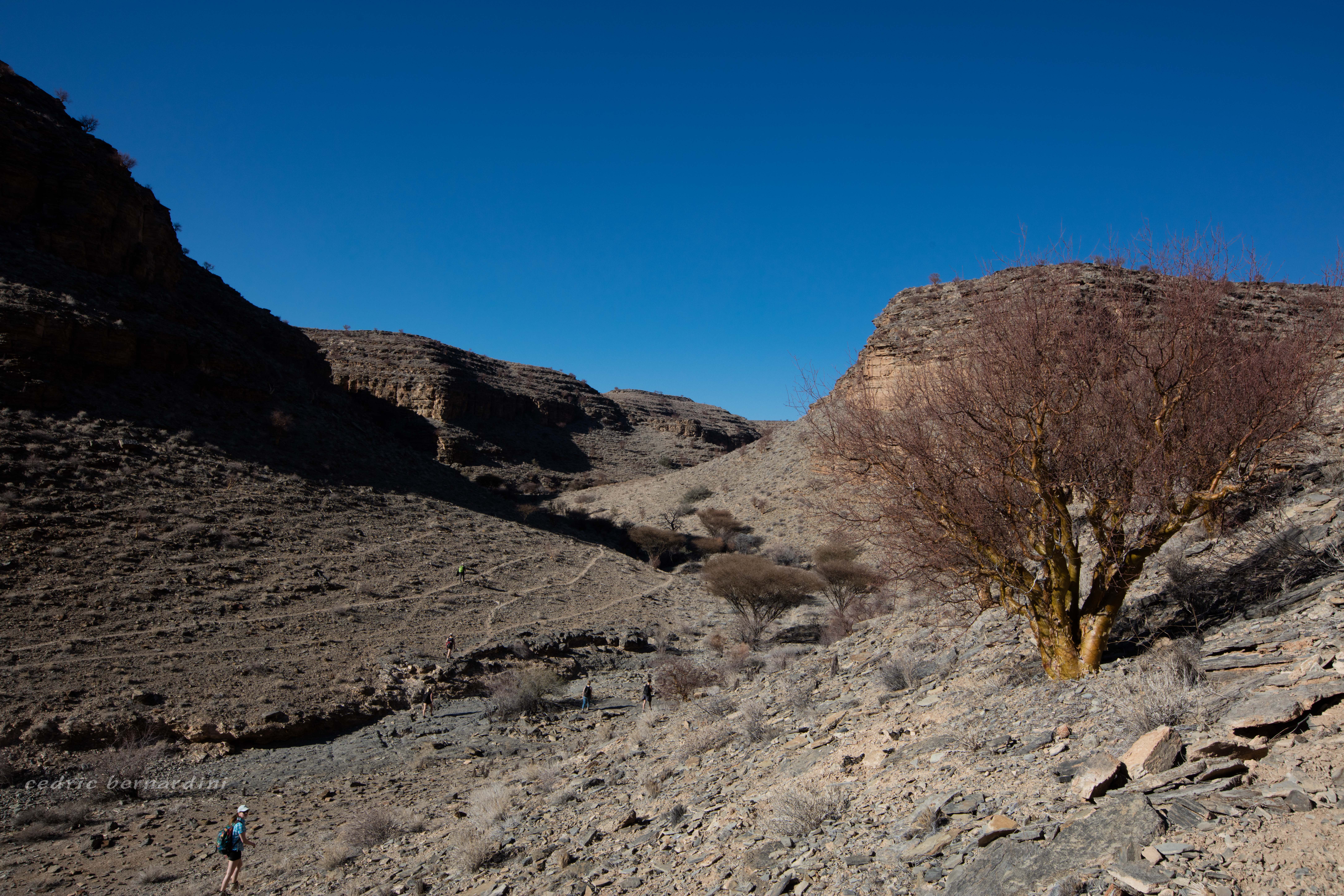 namibia, africa, naankuse, wild, cedric bernardini
