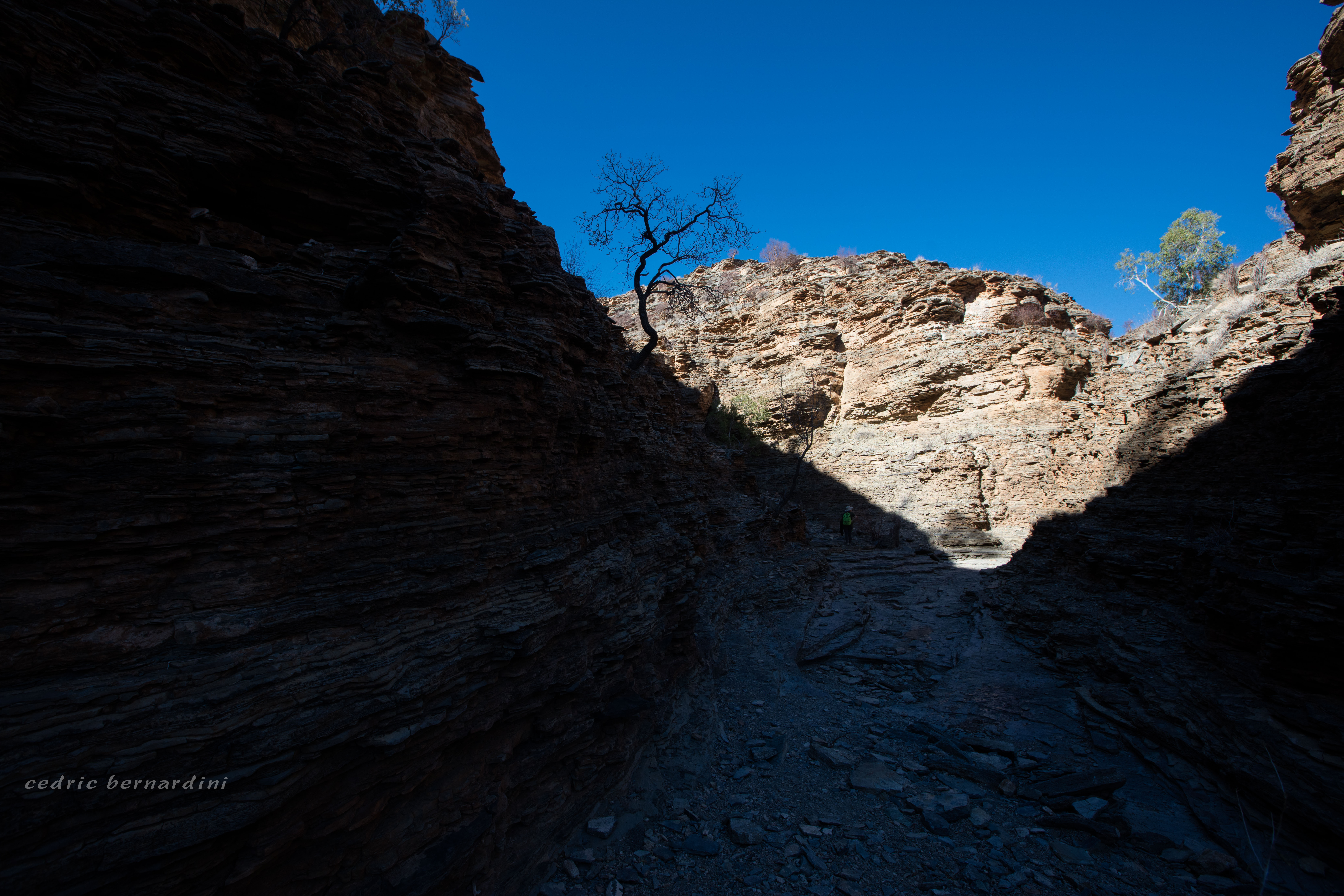 namibia, africa, naankuse, wild, cedric bernardini