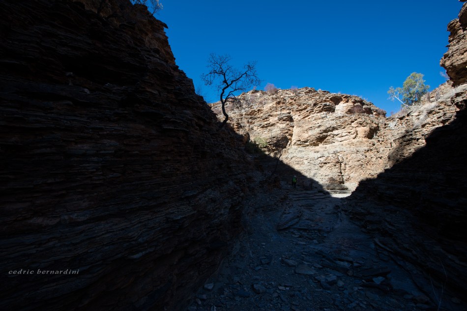 namibia, africa, naankuse, wild, cedric bernardini