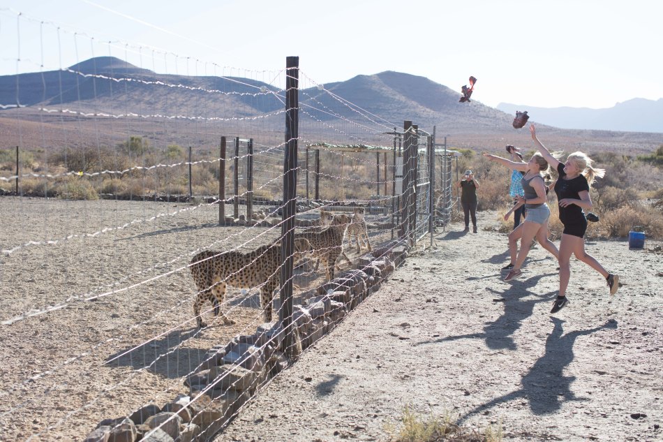 namibia, africa, naankuse, wild, cedric bernardini