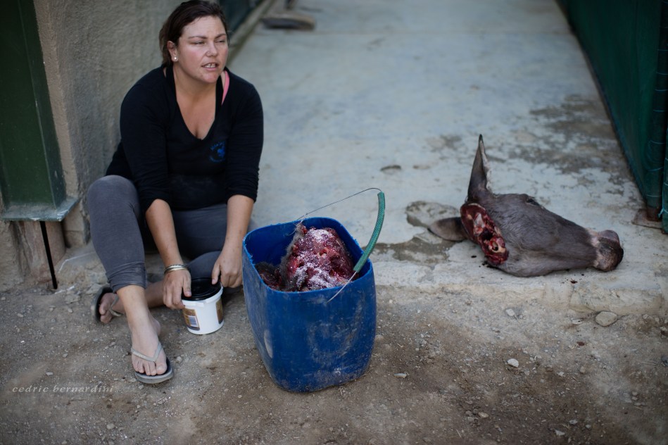 namibia, africa, naankuse, wild, cedric bernardini