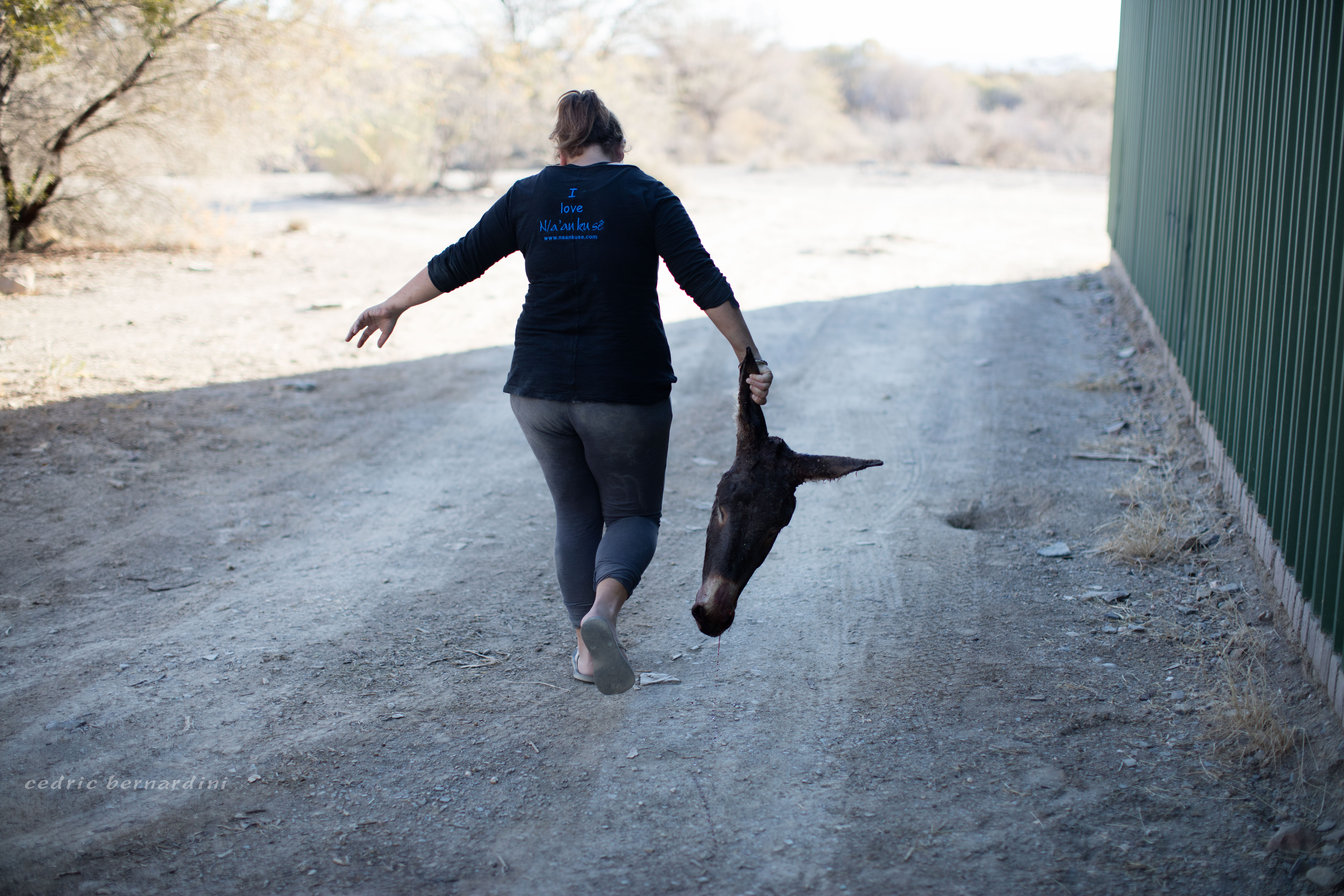namibia, africa, naankuse, wild, cedric bernardini