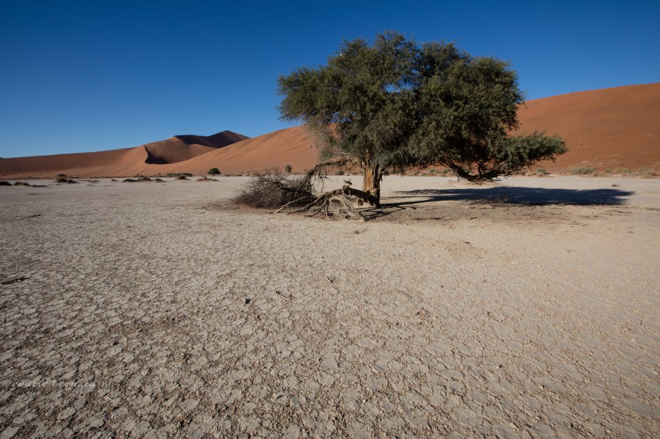 namibia, africa, naankuse, wild, cedric bernardini