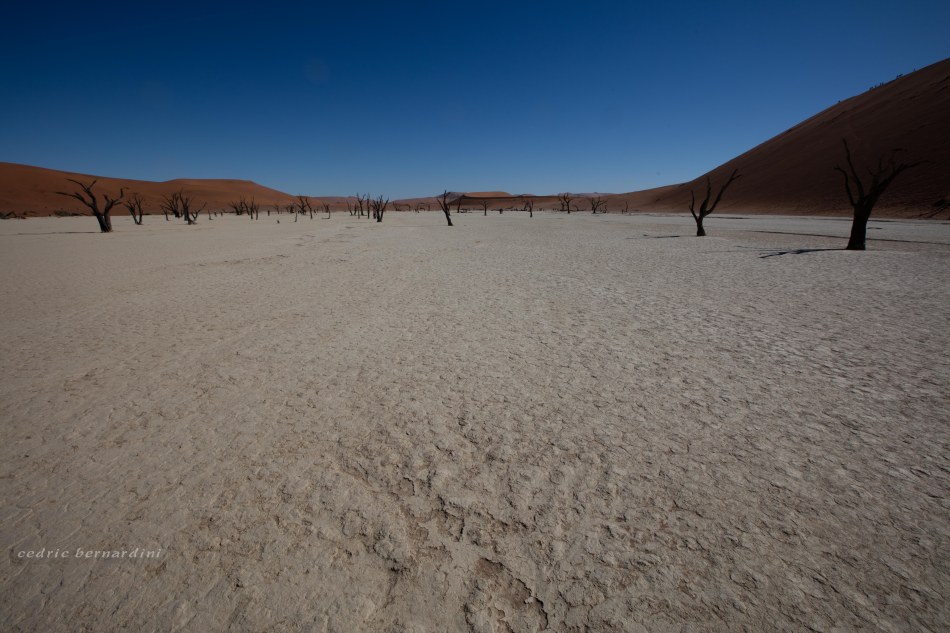 namibia, africa, naankuse, wild, cedric bernardini