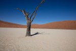 dead vlei