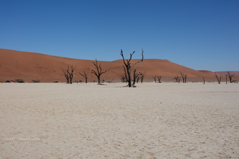 namibia, africa, naankuse, wild, cedric bernardini