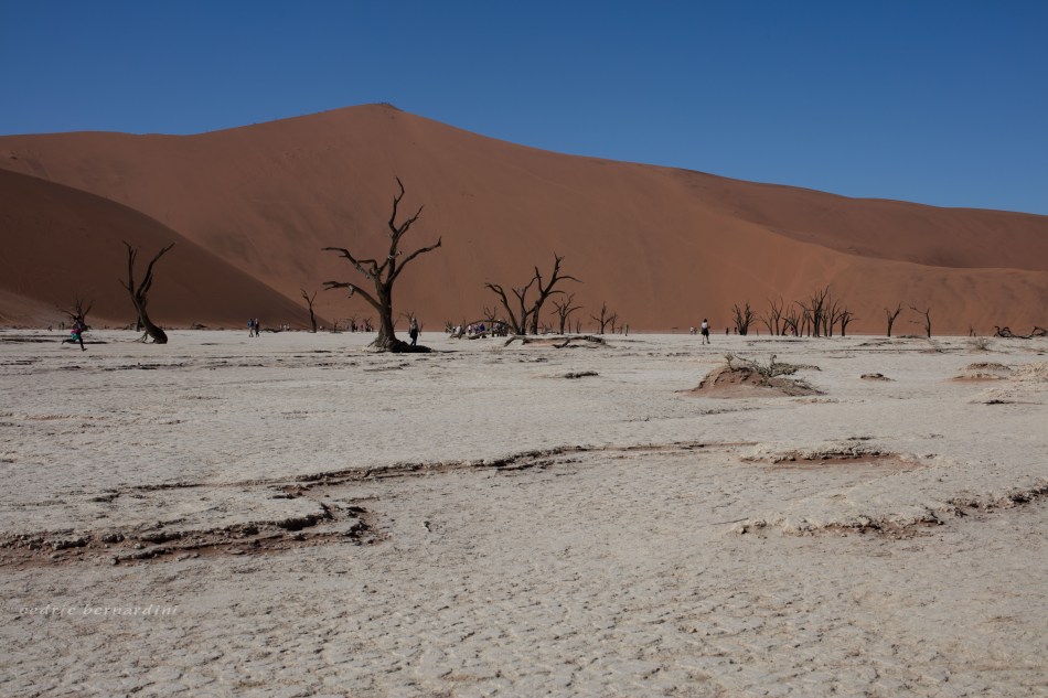 namibia, africa, naankuse, wild, cedric bernardini