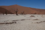 dead vlei