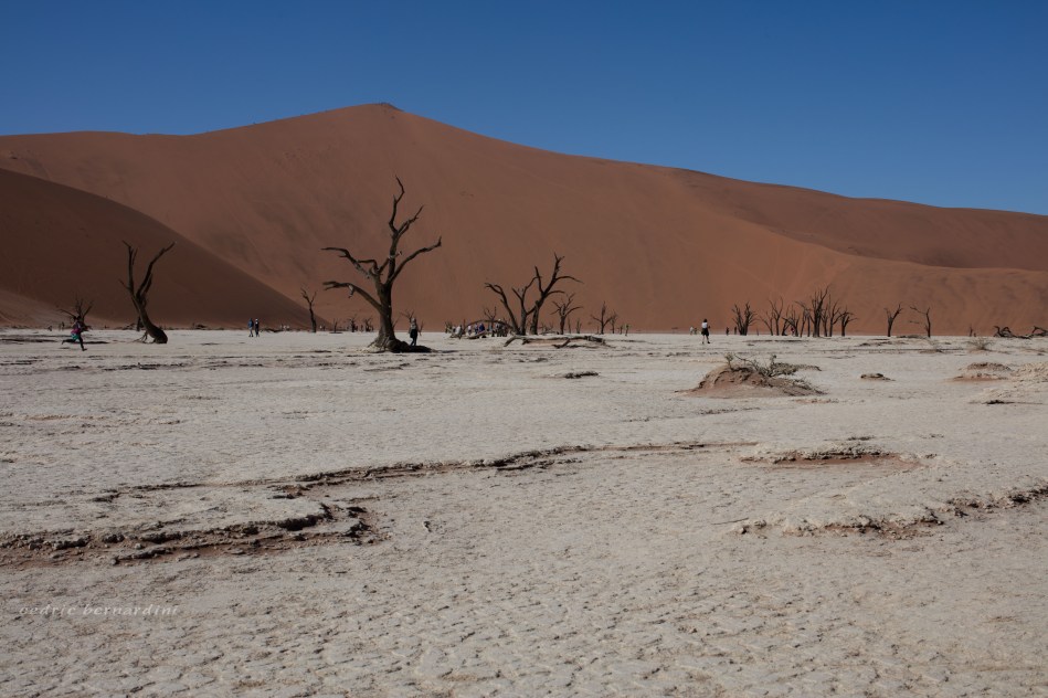 namibia, africa, naankuse, wild, cedric bernardini