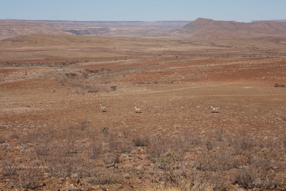 namibia, africa, naankuse, wild, cedric bernardini