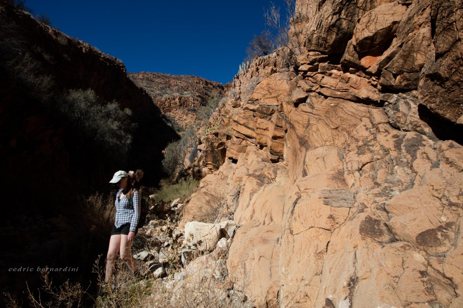 namibia, africa, naankuse, wild, cedric bernardini