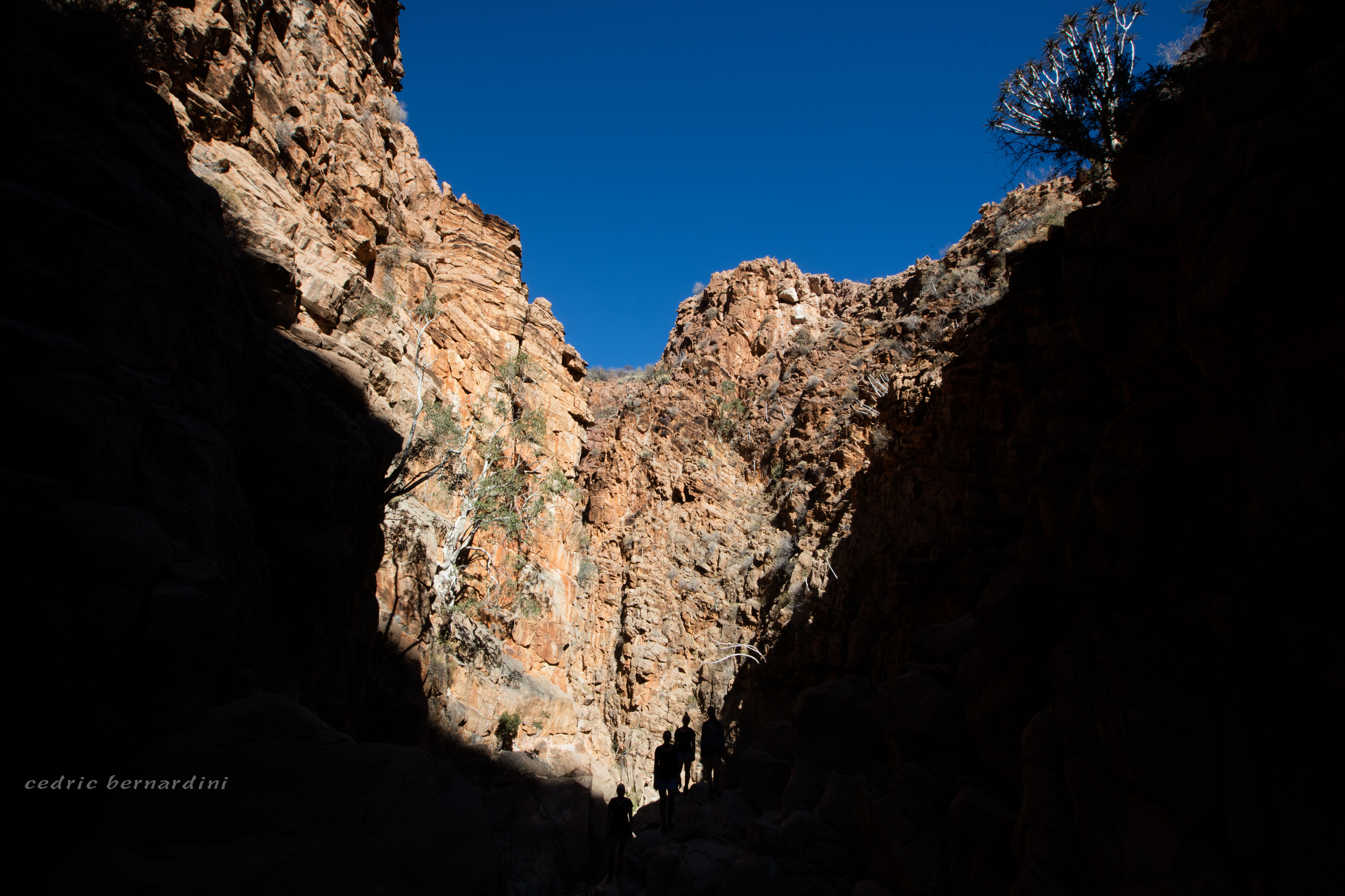 namibia, africa, naankuse, wild, cedric bernardini