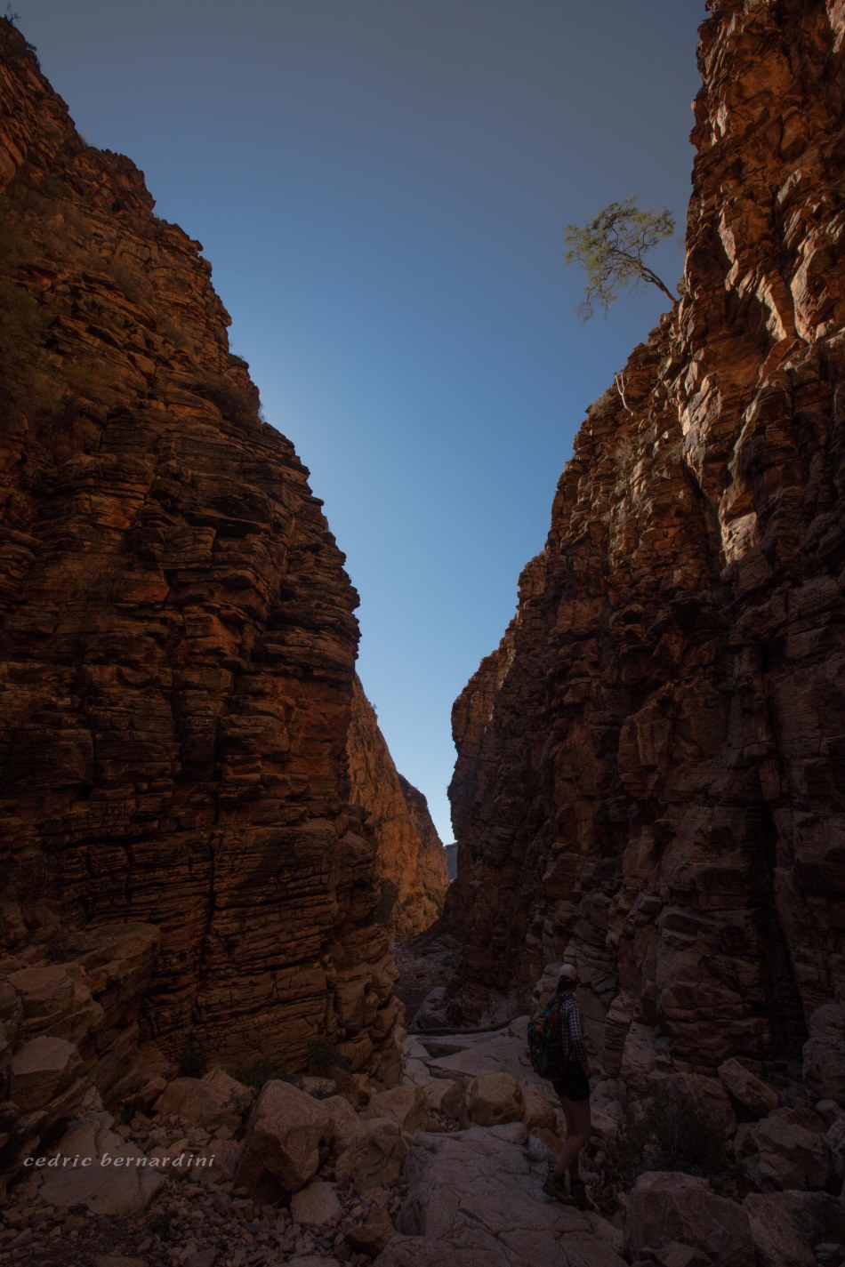 namibia, africa, naankuse, wild, cedric bernardini