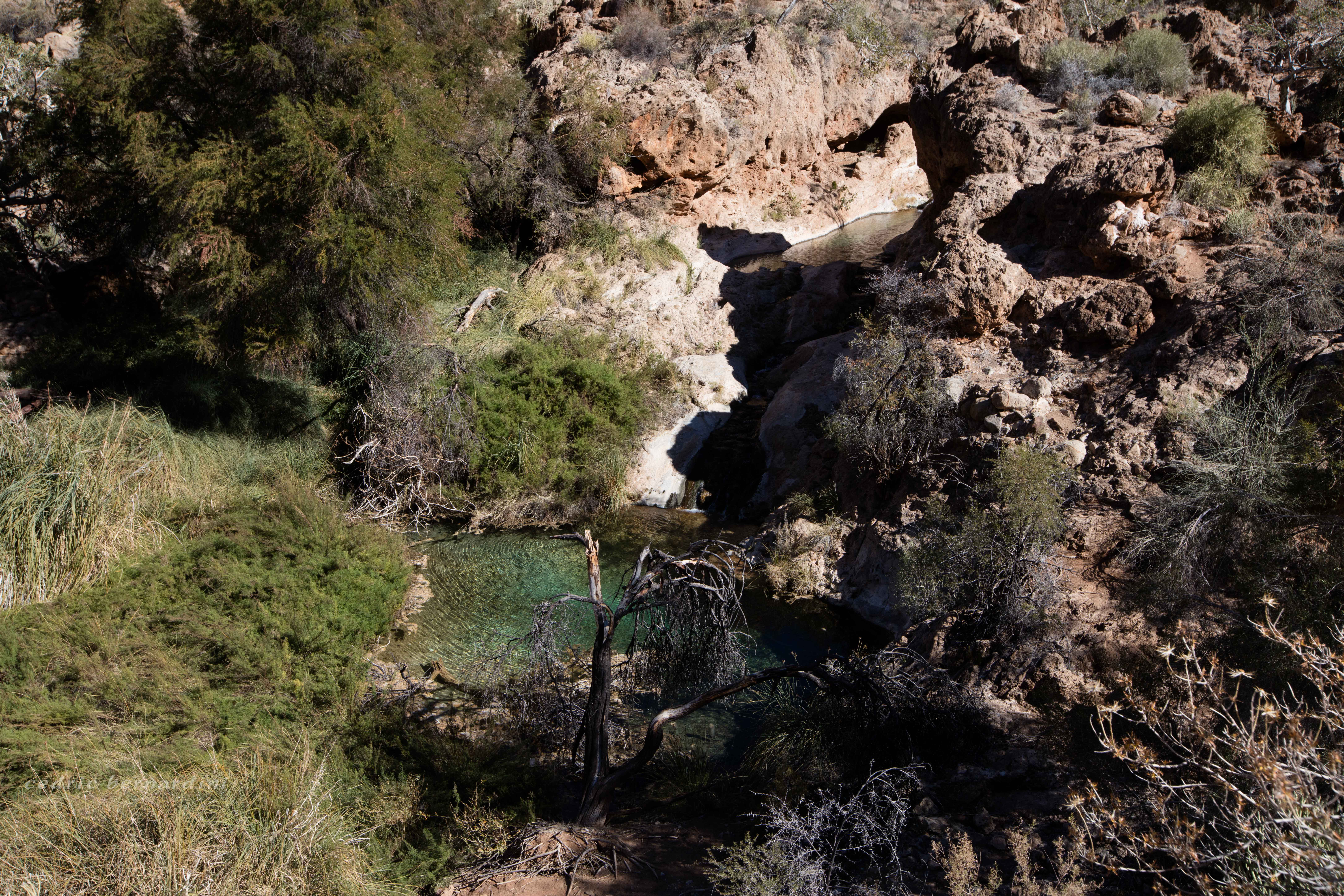 namibia, africa, naankuse, wild, cedric bernardini