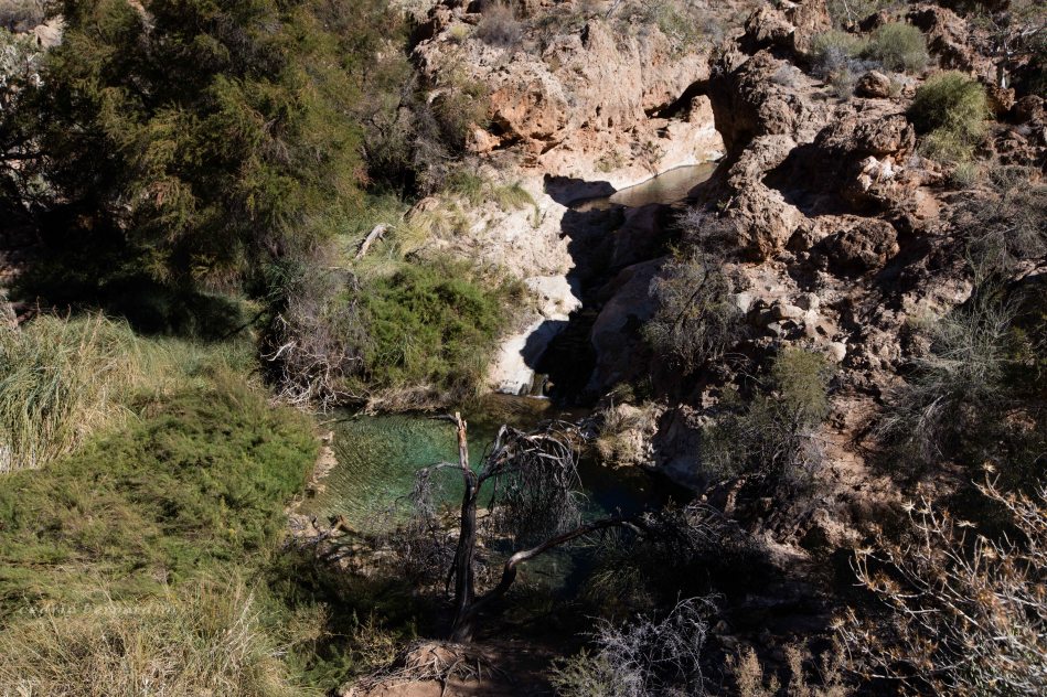 namibia, africa, naankuse, wild, cedric bernardini