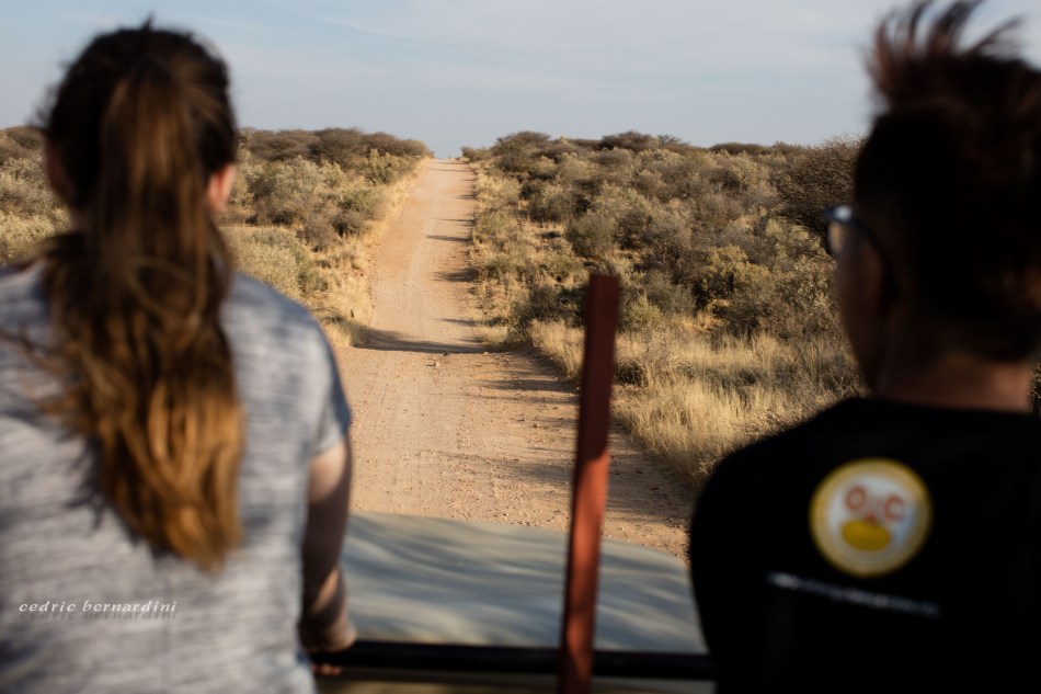 namibia, africa, naankuse, wild, cedric bernardini, kanaan