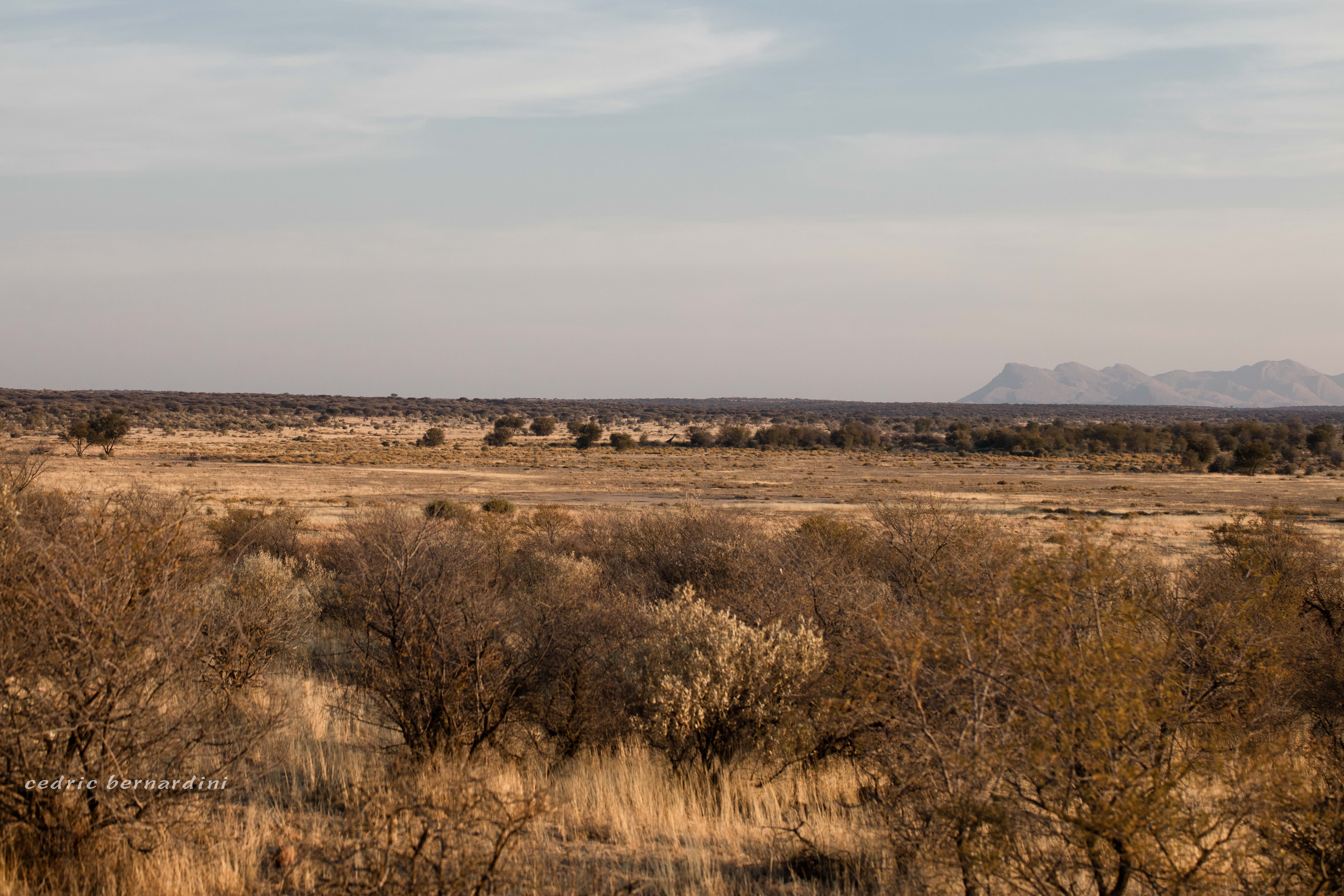 namibia, africa, naankuse, wild, cedric bernardini, kanaan