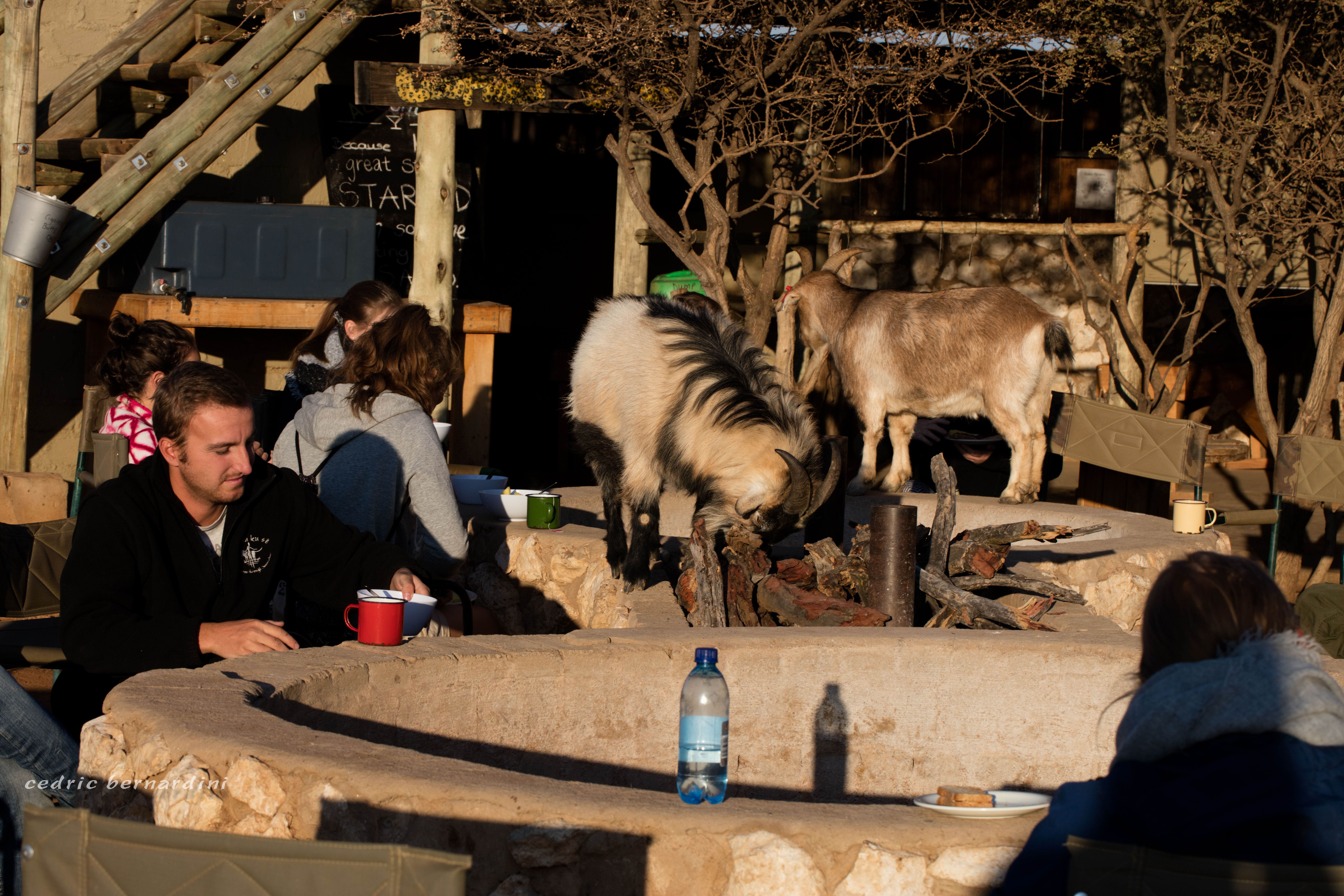 namibia, africa, naankuse, wild, cedric bernardini, kanaan