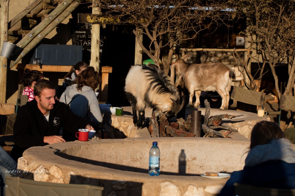 namibia, africa, naankuse, wild, cedric bernardini, kanaan