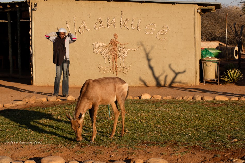 namibia, africa, naankuse, wild, cedric bernardini, kanaan